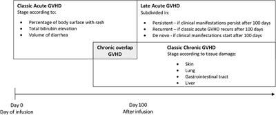 Clinical Translation of Mesenchymal Stromal Cell Therapy for Graft Versus Host Disease